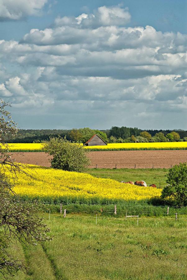 Ferien Auf Tippen Hof Lägenhet Bleckede Exteriör bild